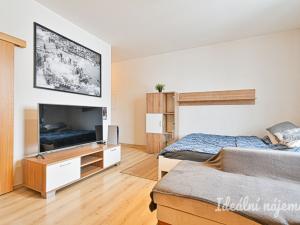 Prodej bytu 1+kk, Brno - Černá Pole, Kunzova, 33 m2