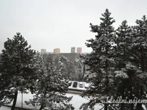 Pronájem bytu 2+1, Brno - Kohoutovice, Voříškova, 52 m2