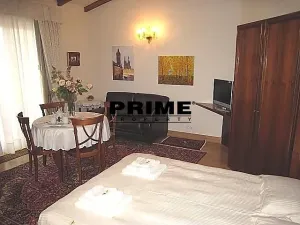 Pronájem bytu 1+kk, Praha - Vinohrady, Italská, 38 m2