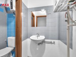 Prodej vícegeneračního domu, Kolín - Kolín I, 275 m2