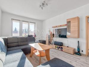 Prodej bytu 3+1, Ženklava, 84 m2