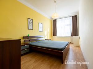 Pronájem bytu 2+kk, Praha - Vinohrady, Na Folimance, 50 m2