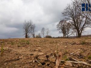 Prodej pozemku pro bydlení, Golčův Jeníkov, 2922 m2