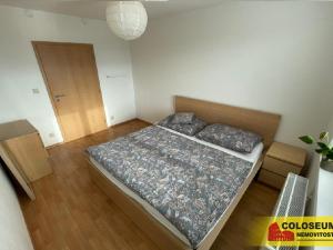 Pronájem bytu 4+kk, Moravany, 100 m2