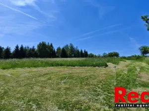 Prodej pozemku pro bydlení, Ježkovice, 3053 m2