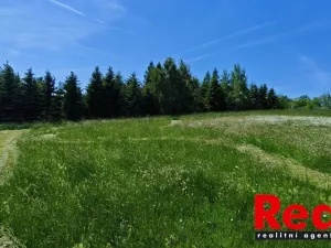 Prodej pozemku pro bydlení, Ježkovice, 3053 m2