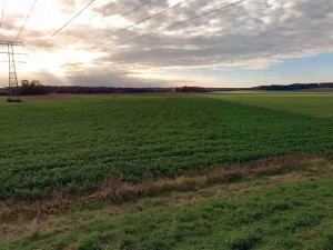 Prodej pole, Týnec nad Labem, 6828 m2