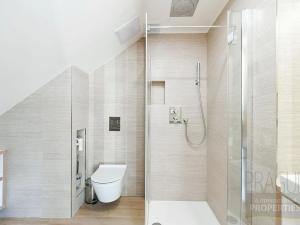 Pronájem bytu 3+kk, Praha - Nové Město, Petrská, 160 m2