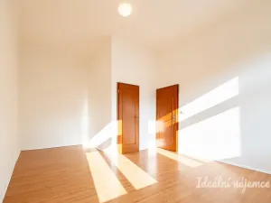 Pronájem bytu 2+kk, Praha - Žižkov, Seifertova, 46 m2