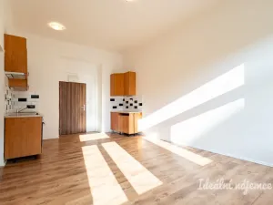 Pronájem bytu 2+kk, Praha - Žižkov, Seifertova, 46 m2