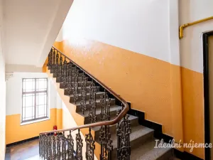 Pronájem bytu 2+kk, Praha - Žižkov, Seifertova, 46 m2