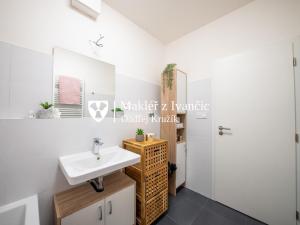 Pronájem bytu 1+kk, Brno - Ponava, U Červeného mlýna, 46 m2