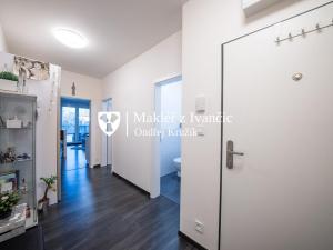 Pronájem bytu 1+kk, Brno - Ponava, U Červeného mlýna, 46 m2