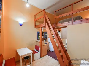 Prodej bytu 1+kk, Praha - Krč, Štúrova, 18 m2