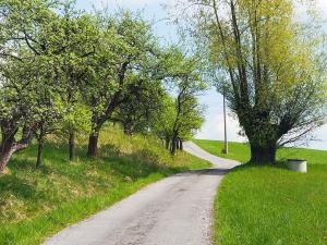 Prodej chalupy, Kozlovice, 155 m2