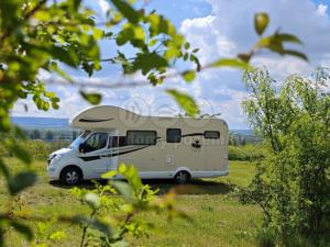 Prodej zahrady, Postoloprty - Dolejší Hůrky, 6000 m2