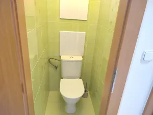 Pronájem bytu 1+1, Zlín, Ševcovská, 40 m2