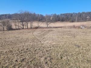 Prodej pozemku pro bydlení, Pyšely - Borová Lhota, 972 m2