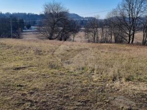 Prodej pozemku pro bydlení, Pyšely - Borová Lhota, 972 m2