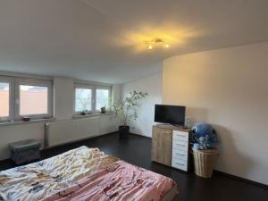 Prodej rodinného domu, České Budějovice - České Budějovice 7, Lidická tř., 110 m2