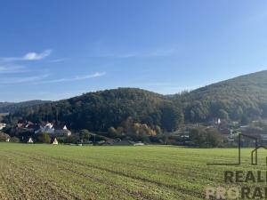 Prodej pozemku pro bydlení, Lažany, 3195 m2