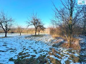 Prodej zahrady, Kroměříž - Kotojedy, 5642 m2