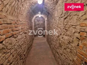 Pronájem obchodního prostoru, Uherské Hradiště, 650 m2