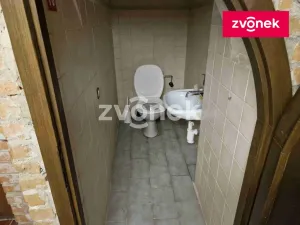 Pronájem obchodního prostoru, Uherské Hradiště, 650 m2