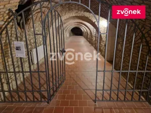 Pronájem obchodního prostoru, Uherské Hradiště, 650 m2