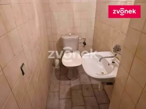 Pronájem obchodního prostoru, Uherské Hradiště, 650 m2
