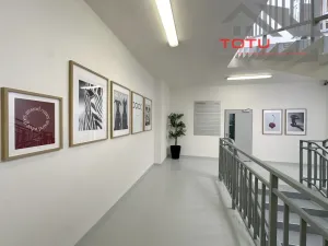 Pronájem obchodního prostoru, Jaroměř, Jezbinská, 404 m2