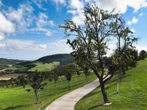 Prodej chalupy, Vrbovce, Slovensko, 1100 m2