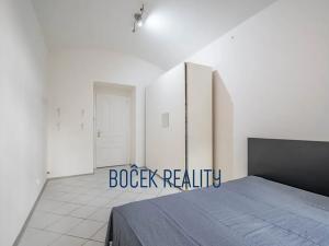 Pronájem bytu 2+kk, Praha - Vinohrady, Přemyslovská, 40 m2