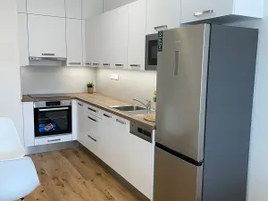 Pronájem bytu 1+kk, Brno, Lidická, 45 m2