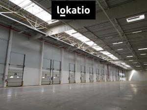 Pronájem skladu, Ostředek, 4000 m2