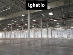 Pronájem skladu, Ostředek, 4000 m2