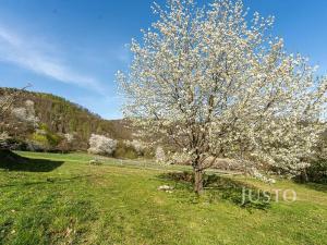 Prodej pozemku pro bydlení, Solenice, 3494 m2