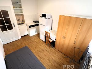 Pronájem bytu 1+kk, Brno - Staré Brno, Jircháře, 23 m2