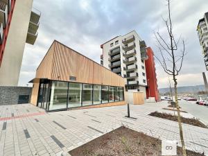 Pronájem bytu 3+kk, Praha - Modřany, Zlochova, 100 m2