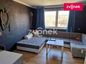Prodej rodinného domu, Velká nad Veličkou, 530 m2
