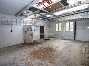 Prodej komerční nemovitosti, Karlovy Vary - Rybáře, Sokolovská, 600 m2