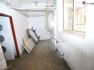 Prodej komerční nemovitosti, Karlovy Vary - Rybáře, Sokolovská, 600 m2