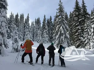 Prodej bytu 1+kk, Bansko, Bulharsko, 60 m2