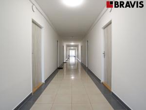 Pronájem bytu 1+kk, Brno - Dolní Heršpice, Bernáčkova, 16 m2