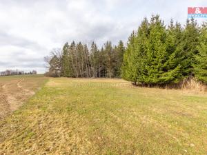 Prodej louky, Vysočina - Možděnice, 108437 m2