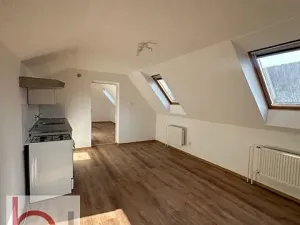 Pronájem bytu 1+1, České Budějovice, 42 m2