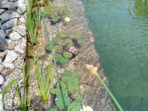 Prodej rodinného domu, Slavkov u Brna, 60 m2