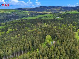 Prodej rodinného domu, Rokytnice v Orlických horách, 37 m2