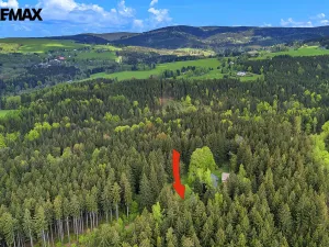 Prodej rodinného domu, Rokytnice v Orlických horách, 37 m2