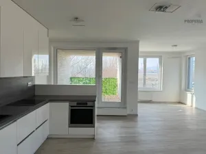 Pronájem bytu 3+kk, Brno, Placzkova, 106 m2